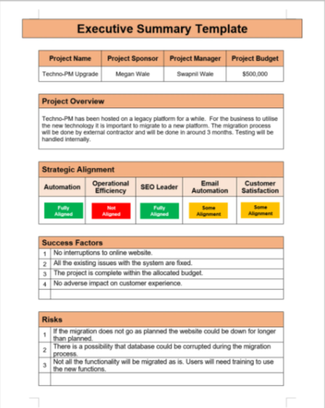 Executive Summary Report