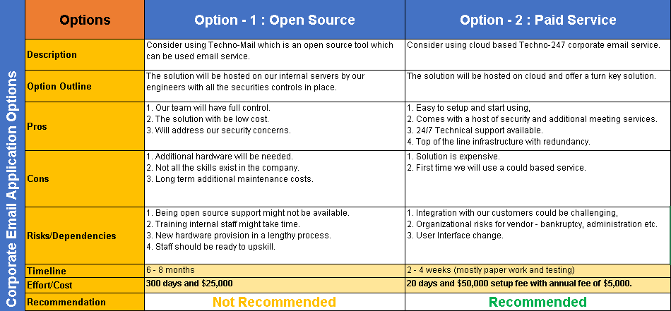 Project Options Paper Template